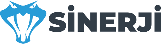 Sinerji